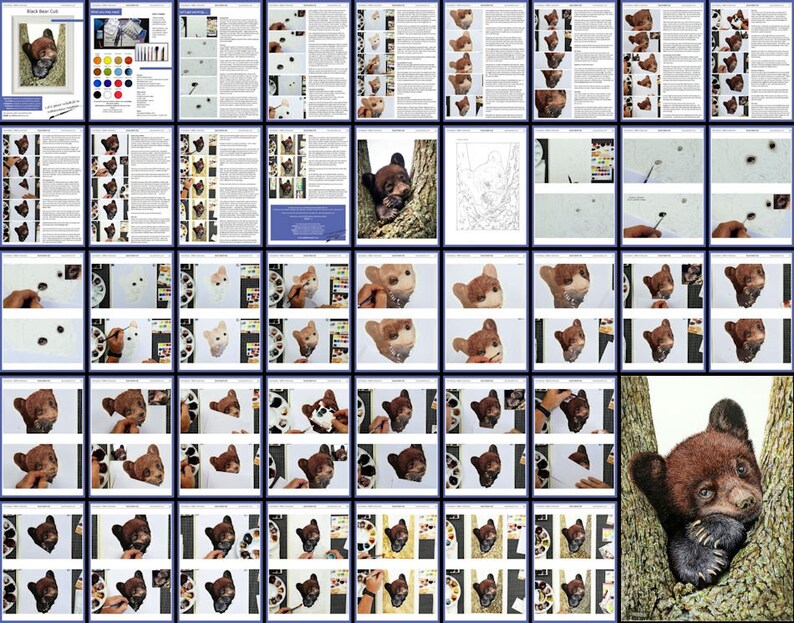 All the pages in the bear painting lesson laid out as a collage.  These include blocks of text alongside photos of Paul's painting.  There are so many photos that they show the whole process of the painting in tiny steps.