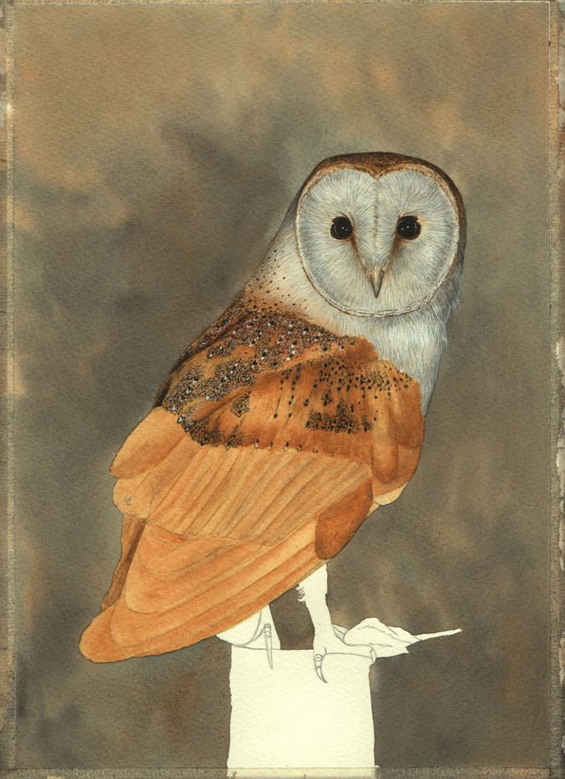 Learn How to Paint PDF Watercolour Owl Tutorial Bird of Prey Etsy UK