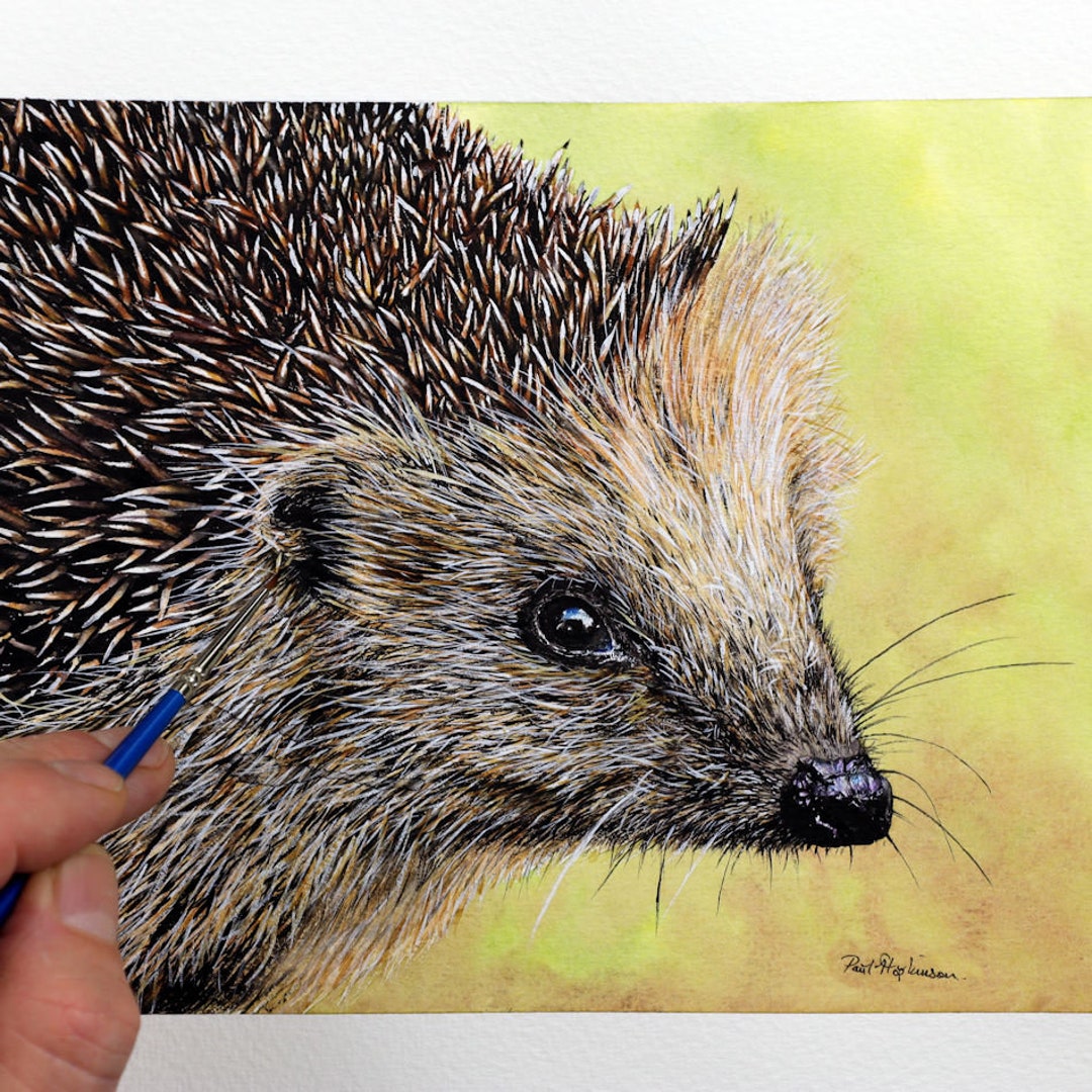 Watercolour Art Tutorial, How to Paint a Hedgehog Online Lesson ...