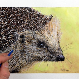 Wie man einen Igel malt, Online-Aquarellkurs, Aquarellillustrationskurs, realistische Tiermalerei