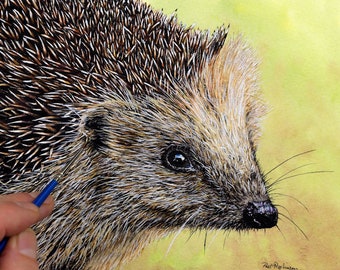 How to Paint a Hedgehog, Online Watercolour Lesson, Watercolor Illustration Course, Realistic Animal Painting