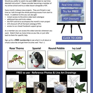 The last page of the lesson with written details about Paul's online watercolour video tutorials.  Below are images of 4 more pdfs.  A thorny stem, a spaniel dog, a round pebble and an ivy leaf.
