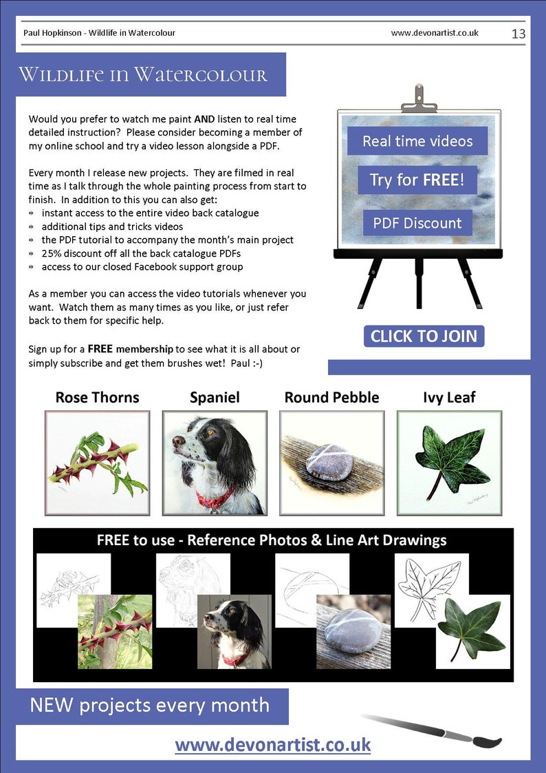 The last page of the lesson with written details about Paul's online watercolour video tutorials.  Below are images of 4 more pdfs.  A thorny stem, a spaniel dog, a round pebble and an ivy leaf.