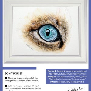 This is the first page of the lesson, with the finished cat eye painting displayed in a white frame.  Underneath there are details and links for Paul's other online channels.