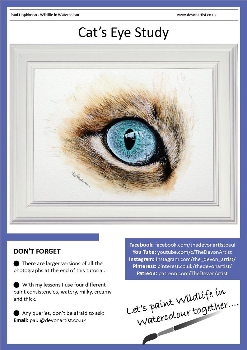 This is the first page of the lesson, with the finished cat eye painting displayed in a white frame.  Underneath there are details and links for Paul's other online channels.