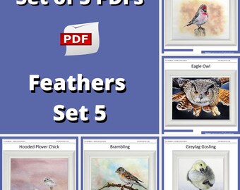 Set of 5 Watercolour Bird Painting PDFs, Instant Download Watercolor Lessons, Step-by-Step Painting Courses