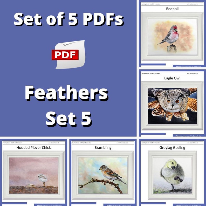 A set of 5 watercolour bird painting lessons, a redpoll, eagle owl, gosling, brambling and hooded plover.  All are shown in white frames, with their title above them.  All are painted in fine detail, including backgrounds.