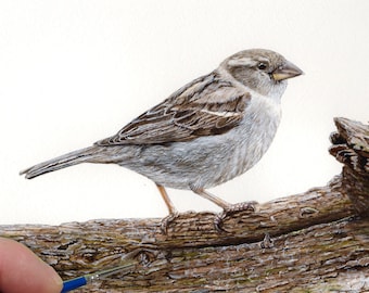 Comment peindre un oiseau à l'aquarelle, tutoriel aquarelle sur le moineau, leçon de peinture étape par étape pour débutants, techniques de réalisme, cadeau artistique