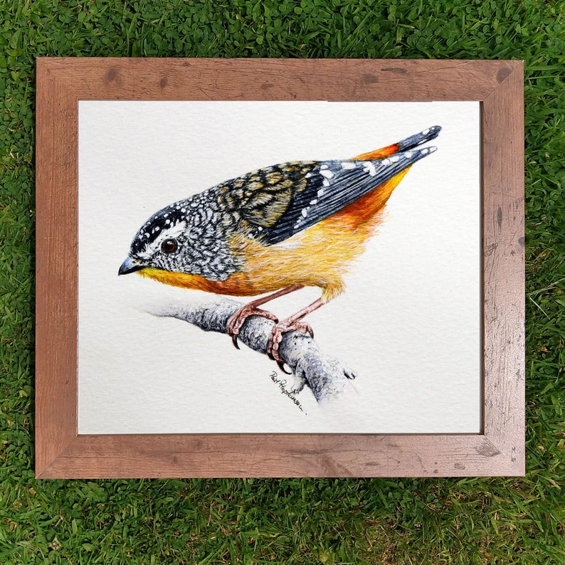 The bird painting in a wooden frame which is laid on a lawn.