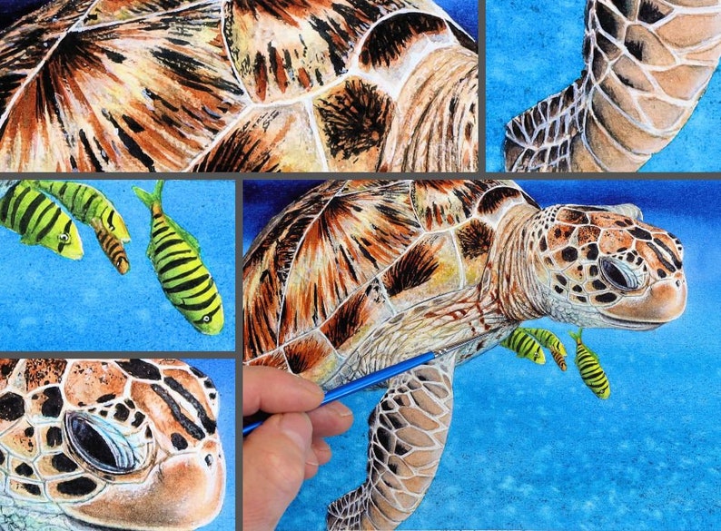 Close up images of the painting.  Top left the shell, top right the flipper.  Middle left are the fish and bottom left the face.  Finally the whole turtle is shown bottom right.