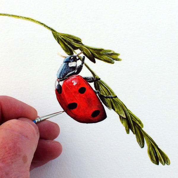 Watercolor Ladybug Painting Tutorial, Ladybird Watercolour PDF Lesson, Illustration Art PDF