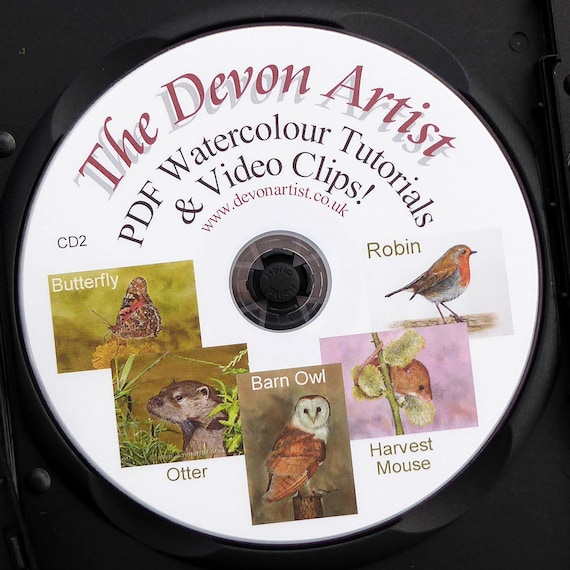 Learn to Paint Birds & Animals in Realistic Watercolor, Watercolour Painting Lessons, Disc 2