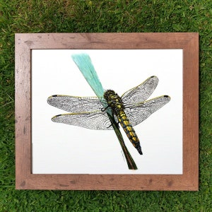 ORIGINAL Watercolour Dragonfly Painting, Realistic Wildlife Watercolor Art, Illustration Fine Art Detail, Animal Wall Art, Insect Gift image 10