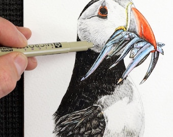 ORIGINAL Puffin Line & Wash Illustration, Fine-Art Watercolour Painting, Watercolor Bird Artwork