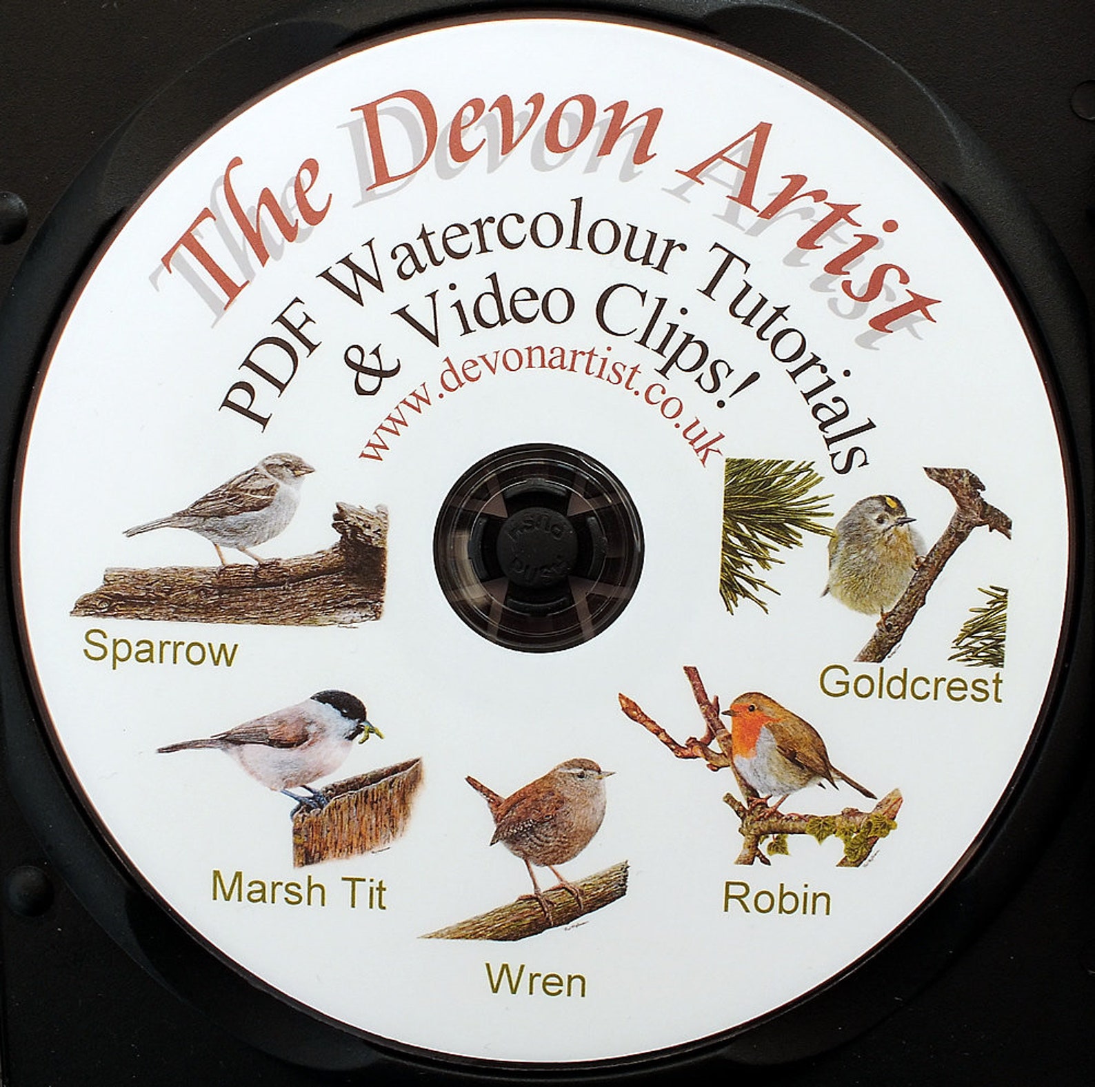 Learn to Paint Birds in Watercolour Step by Step PDF Etsy UK