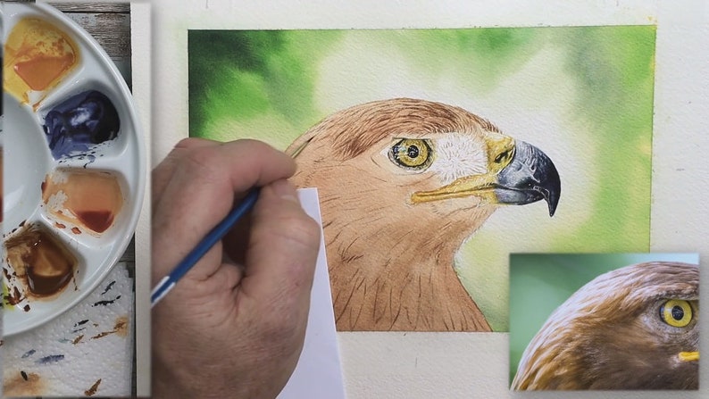 Paul has the eye and beak both painted, and is now working on the first layer of feather detail.  He has already applied a brown wash to the feathers, and marked some of them in.