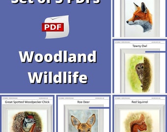 How to Paint Woodland Animals in Realistic Watercolour, Watercolour Wildlife Art, Fur & Feather Painting Tutorials, Illustration Fine Art
