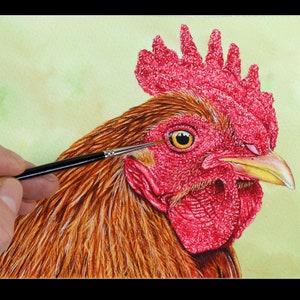 A highly detailed painting of a rooster.  The bird has a bright red comb, face and wattles, with rich golden brown feathers.  The portrait is focused on the head and neck of the bird. Paul's brush and hand is shown to the left.