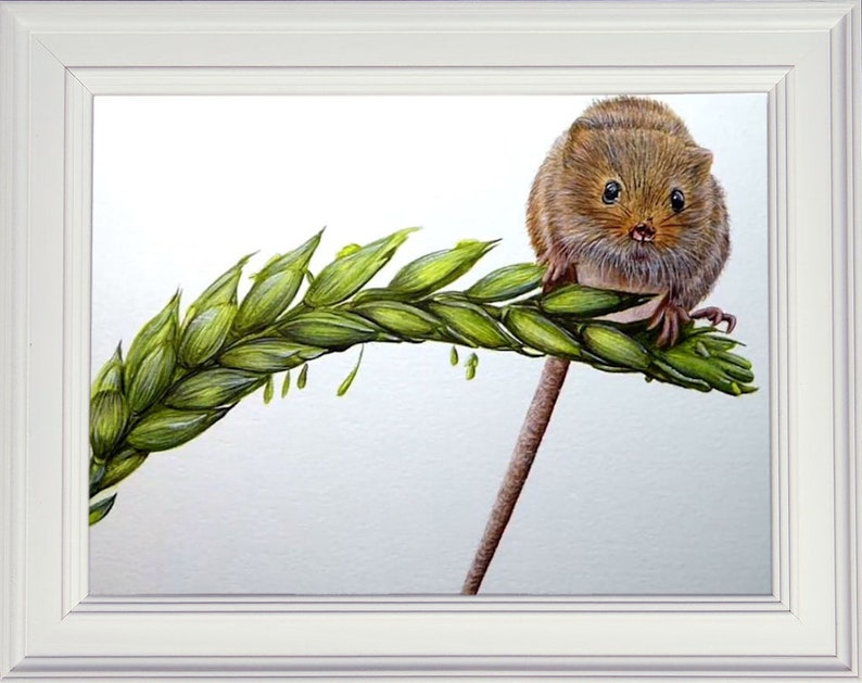 The finished harvest mouse painting shown in a white frame.