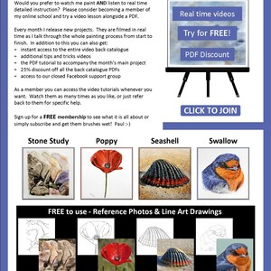 The final page of the tutorial which encourages the purchaser to check out the video lessons the artist also sells.  There are also photos of 4 more PDF lessons that can be bought on Etsy.  A stone study, a poppy, a shell and a Welcome Swallow bird.
