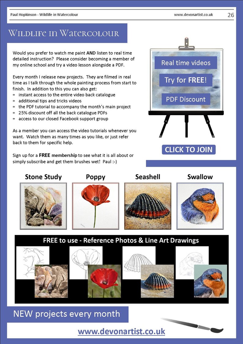 The final page of the tutorial which encourages the purchaser to check out the video lessons the artist also sells.  There are also photos of 4 more PDF lessons that can be bought on Etsy.  A stone study, a poppy, a shell and a Welcome Swallow bird.