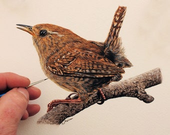 Learn to Paint Feathers in Watercolour, Lesson in Illustration Watercolor, How to Paint a Wren, Bird Painting Tutorial