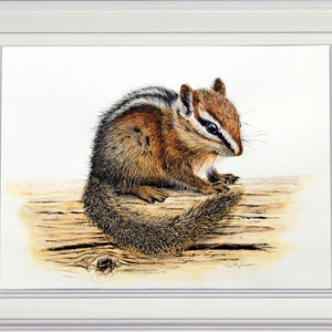 The completed chipmunk painting in a white frame.  The animal is sat on a piece of wood, looking right.  It is brown and white with a dark brown line flanked with white running from its nose across to the ear and down its back.