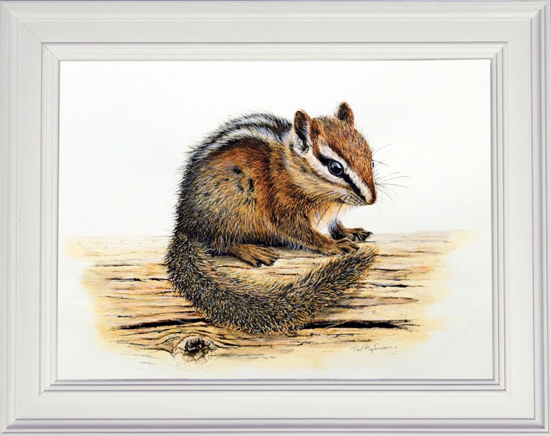 The completed chipmunk painting in a white frame.  The animal is sat on a piece of wood, looking right.  It is brown and white with a dark brown line flanked with white running from its nose across to the ear and down its back.