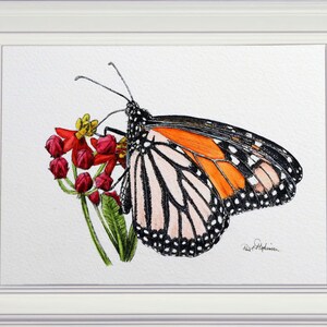 The finished monarch butterfly painting in a white frame.