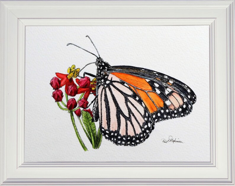 The finished monarch butterfly painting in a white frame.