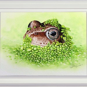 The finished frog painting in a white frame.