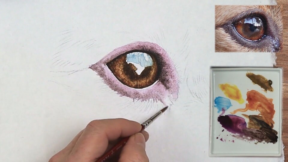 Learn to Paint Realistic Watercolour Eyes Dog Eye Watercolor - Etsy