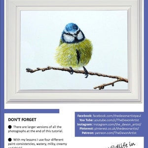 The first page of the tutorial, which has a photo of the blue tit painting in a white frame.  Underneath are links to Paul's other online channels.