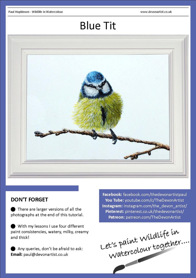 The first page of the tutorial, which has a photo of the blue tit painting in a white frame.  Underneath are links to Paul's other online channels.