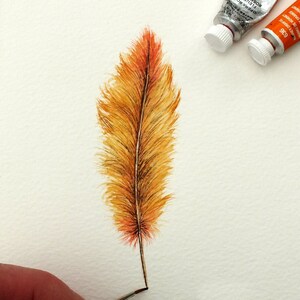 Original Watercolour Feather Paintings, Colourful Watercolor Wall Art, Affordable Art, Feather Art 2. Autumn