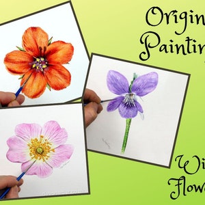 Original wild flower paintings in watercolour.  Image has a green/ yellow background, with 3 paintings - a bright orange / red scarlet pimpernel, a purple dog violet, and a pale pink dog rose.  Paul's hand and brush are in each painting.