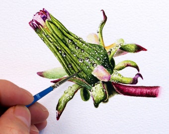 Botanical Watercolor Painting, Original Illustration Fine Art, Realistic Watercolour Flower, British Wildflower Artwork