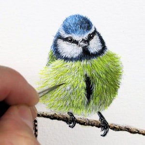 鳥の水彩画チュートリアル、詳細なシジュウカラのPDFレッスン、イラストアートの電子書籍のダウンロード、リアルな水彩画の描き方