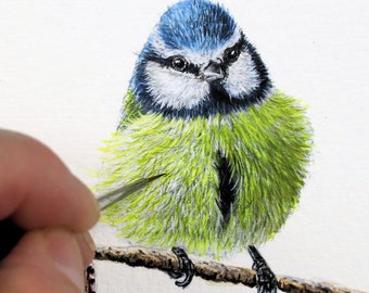 Waterverftutorial over het schilderen van vogels, gedetailleerde pimpelmees PDF-les, download eBook-illustratiekunst, schilder realistische aquarelfoto's