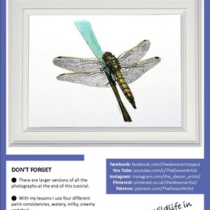 The first page of the dragonfly painting lesson.  This has the completed study shown in a white frame.  Below are links to Paul's other online channels.