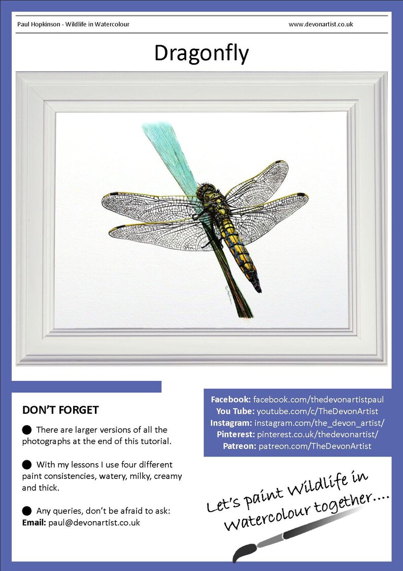 The first page of the dragonfly painting lesson.  This has the completed study shown in a white frame.  Below are links to Paul's other online channels.