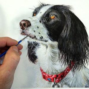 水彩画で犬を描く方法、リアルな水彩画の犬の肖像画、PDF の絵画レッスン、動物アート キット、ダウンロード可能なアート チュートリアルの電子書籍