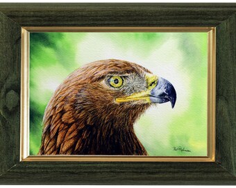 オリジナルの水彩画、イヌワシのリアルな鳥の絵、水彩画の野生