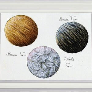 3 circles, each containing a fur study.  Top left is brown straight fur, bottom middle, curly white fur, and top right black fur.  Paul has created shading by darkening one side of the circle, which gives the fur a sort of rounded feel.