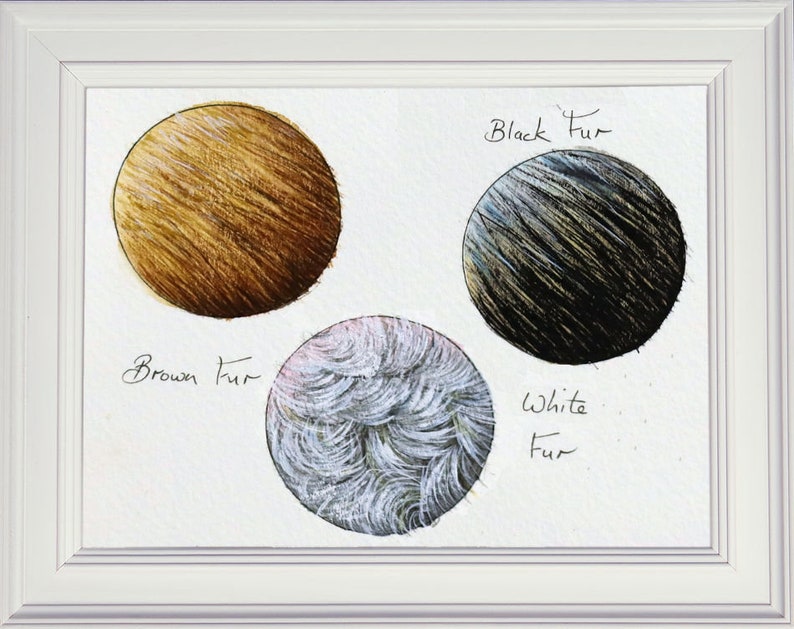 3 circles, each containing a fur study.  Top left is brown straight fur, bottom middle, curly white fur, and top right black fur.  Paul has created shading by darkening one side of the circle, which gives the fur a sort of rounded feel.