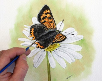 Learn to Paint a Butterfly in Detailed Watercolor, Illustration Art Step-by-Step, Online Watercolour Course