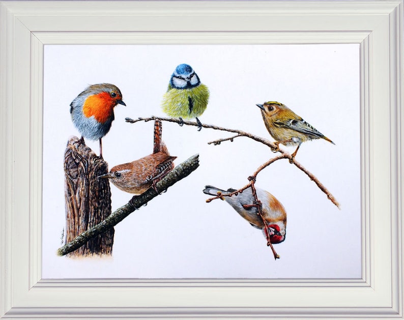 This photo shows the blue tit as part of a much larger composition of 5 small birds.  The blue tit is in the centre, to the left is a robin and to the right a goldcrest.  Below are a wren and goldfinch.  The painting is in a white frame.