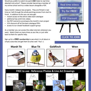 The last page of the lesson, which showcased 4 more paintings that can be bought as PDFs.  A Marsh Tit, Blue Tit, Goldfinch and Wren.  There are also written details about Paul's online watercolour videos.