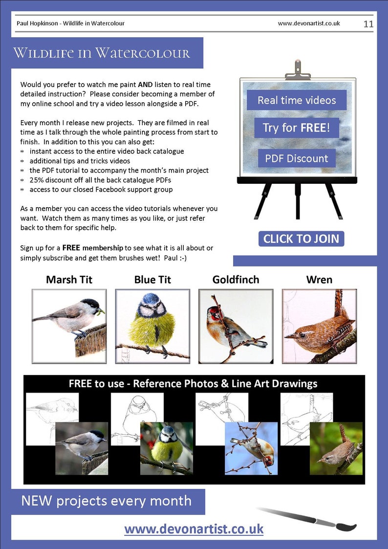 The last page of the lesson, which showcased 4 more paintings that can be bought as PDFs.  A Marsh Tit, Blue Tit, Goldfinch and Wren.  There are also written details about Paul's online watercolour videos.