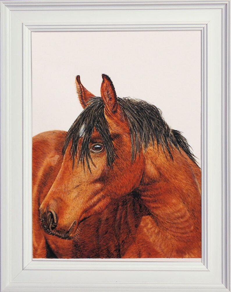 The completed painting of the horse in a white frame.